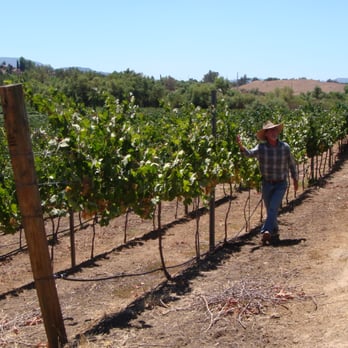 Cougar Vineyard & Winery - Wineries Near Me - Temecula, California Cougar Vineyard & Winery - Wineries Near Me - Temecula, California