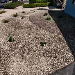 Freshly redone front yard. Gonna need some time for the cacti and aloe to grow out but Adrian's team laid a great foundation for my plants. Freshly redone front yard. Gonna need some time for the cacti and aloe to grow out but Adrian's team laid a great foundation for my plants.