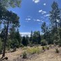 Photo of Lupine Campground