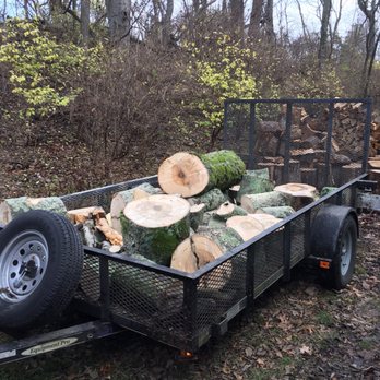 Hutchison Tree Service - Tree Services Near Me - Antioch, Tennessee Hutchison Tree Service - Tree Services Near Me - Antioch, Tennessee
