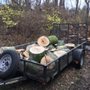 Photo of Hutchison Tree Service