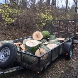Hutchison Tree Service
