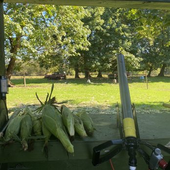 Detering Orchards - Corn cannon - Fruits & Veggies Near Me - Harrisburg, Oregon Detering Orchards - Corn cannon - Fruits & Veggies Near Me - Harrisburg, Oregon