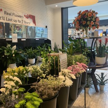 Infinite Petals - Florists Near Me - Raleigh, North Carolina