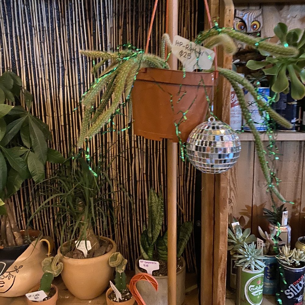 Goods on Orange - Many disco balls for sale of all sizes, even as earrings - Home Decor Near Me - Long Beach, California Goods on Orange - Many disco balls for sale of all sizes, even as earrings - Home Decor Near Me - Long Beach, California