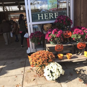 Linvilla Orchards - Farmers Market Near Me - Media, Pennsylvania