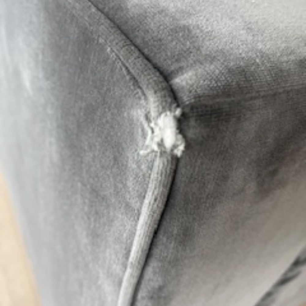 Cardinal Moving - Velvet sofa - Movers Near Me - Louisville, Kentucky