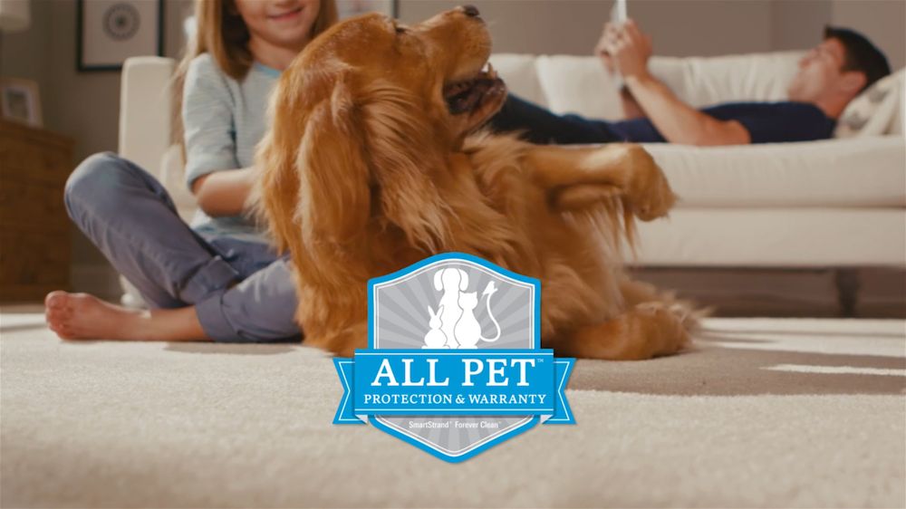 MOORMAN’S CARPETS & RUGS Updated September 2024 15 Photos 3835 NW