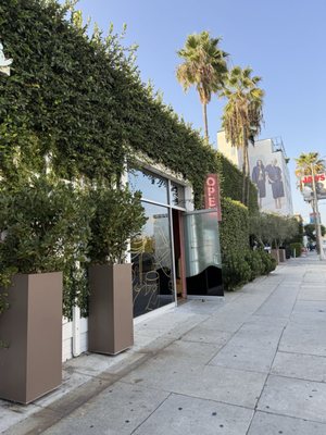 The Bar at Short Stories Hotel by null