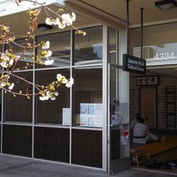 Japanese Art & Cultural Center - Front Door and Cherry Blossom