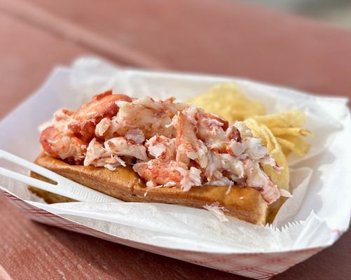 Bite into Maine by null Bite into Maine by null