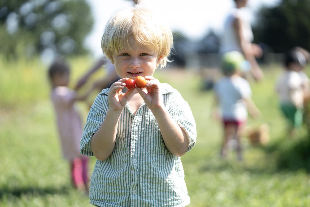 Farm Day Logo