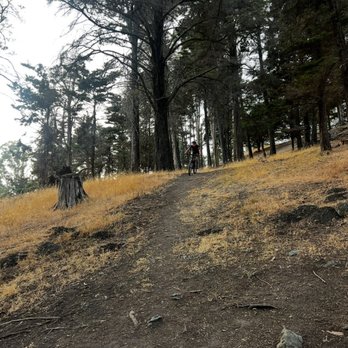 Joaquin Miller Park - Bike Trail - Parks Near Me - Oakland, California