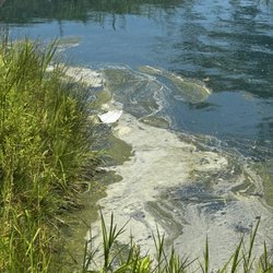 Lost Mountain Adventure Golf - The unnatural blue water, trash and algae are some sort of vibe