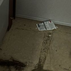 Cube Smart Self Storage - Dead rat and rat repellent.
