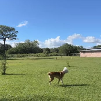 Luca Lodge - Pet Boarding Near Me - Port St. Lucie, Florida Luca Lodge - Pet Boarding Near Me - Port St. Lucie, Florida