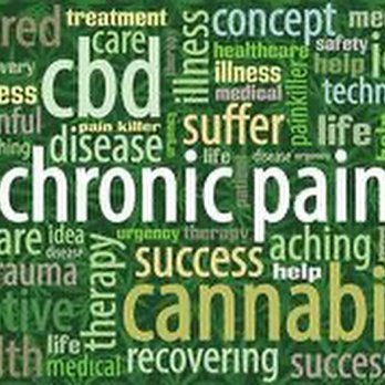 Epic CBD - CBD for Pain - Vitamins & Supplements Near Me - Seattle, Washington Epic CBD - CBD for Pain - Vitamins & Supplements Near Me - Seattle, Washington