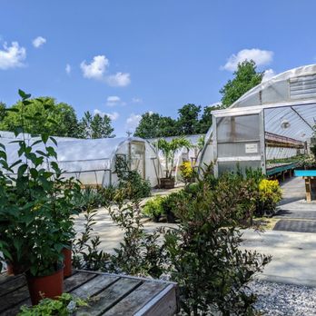 Groovy Plants Ranch - Nurseries & Gardening Near Me - Marengo, Ohio