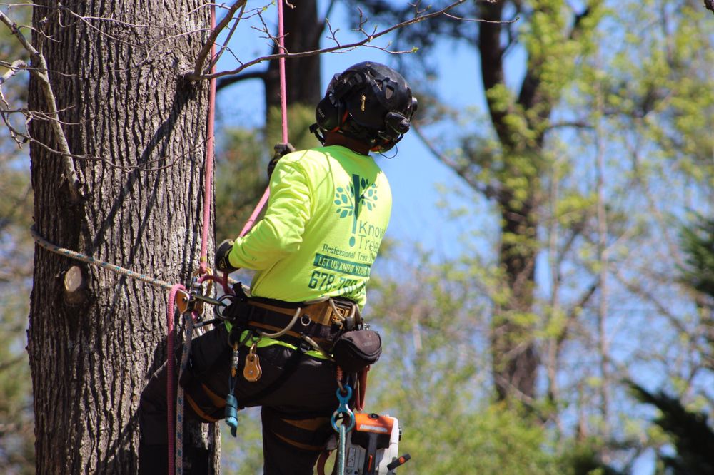 KnowTrees Professional Tree Service - tree service in Bethlehem, GA