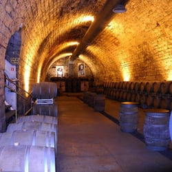 Shalom Israel Tours - The wine cellar tasting room at the Carmel Winery in Israel