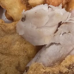 Worm in Whiting Worm in Whiting