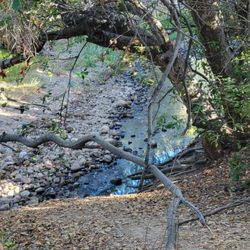 Tecolote Canyon