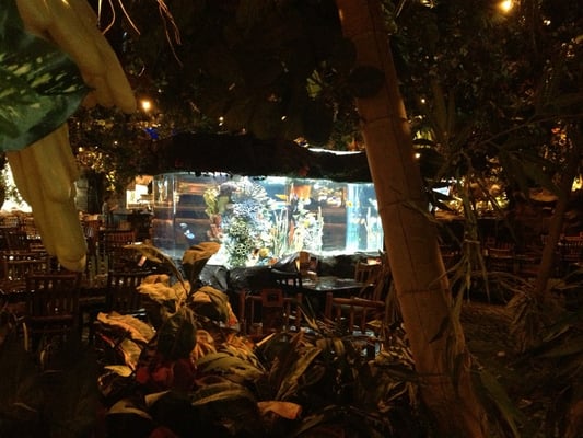 Rainforest Cafe by null