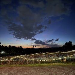 The Vineyard 1924 - Overlook of the vineyards at night!