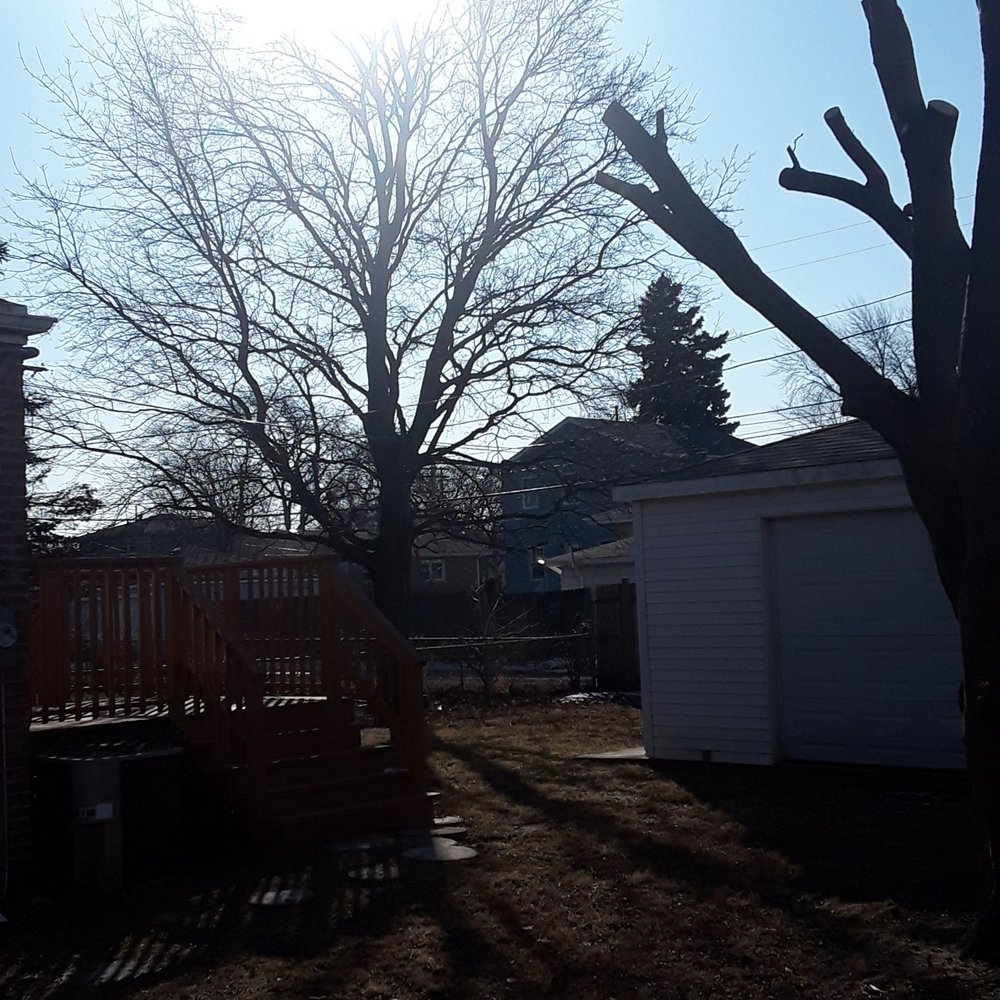 Prime Tree Care - Tree Services Near Me - Blue Island, Illinois Prime Tree Care - Tree Services Near Me - Blue Island, Illinois