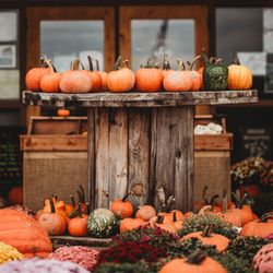 West Oaks Farm Market