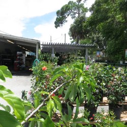 Vision Ace Hardware