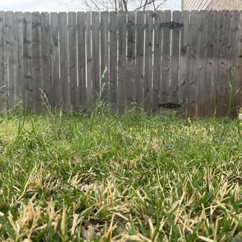 Sage Outdoor Services - a fence and grass - Landscaping Near Me Sage Outdoor Services - a fence and grass - Landscaping Near Me