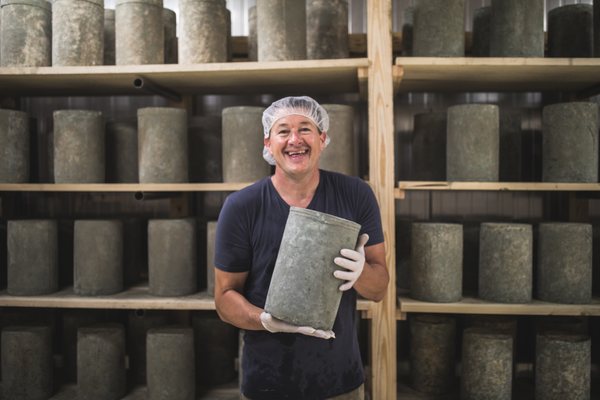 Urban Stead Cheese by null