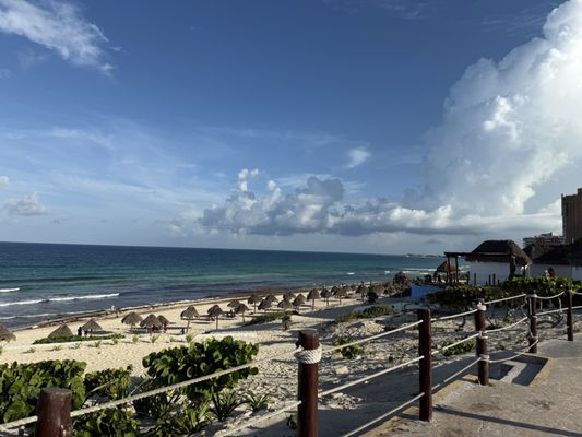 Dolphins Beach by null