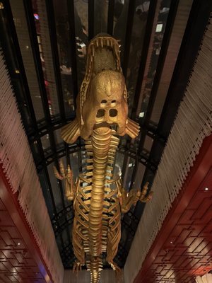 JNcQUOI Asia by null