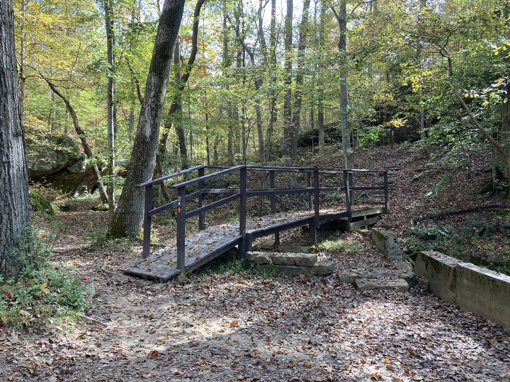 PENNYRILE STATE PARK BEACH Updated October 2024 68 Photos Dawson