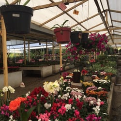 Vivero Santa Rosa - Muchas especies