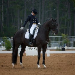 Euro-Quest Farms Center For Dressage - Heidi in FEI competition Pebble Beach, CA