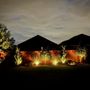 Photo of Bromide Lighting