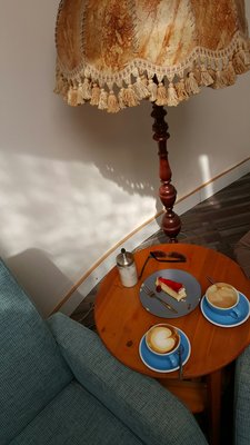 Black & Bloom by null