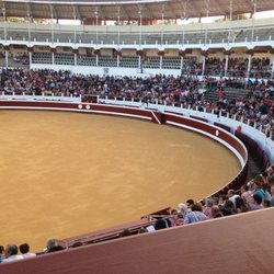 Arènes de Dax