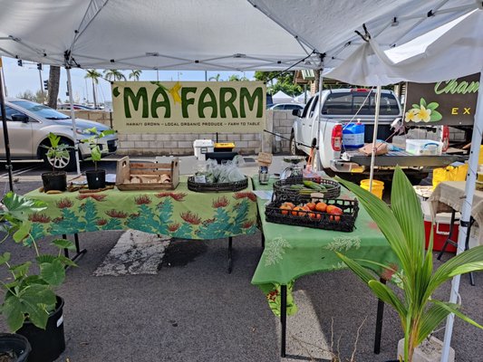 Kaka'ako Farmers Market by null