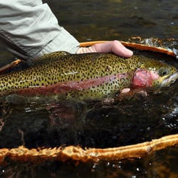 Housatonic River Outfitters