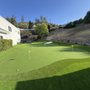 Photo of ETURF PRO