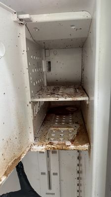 Deep Cleaning Services - We provide deep cleaning services. Deep Cleaning Services - We provide deep cleaning services.