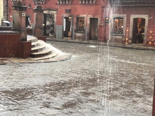 Jardín Allende by null