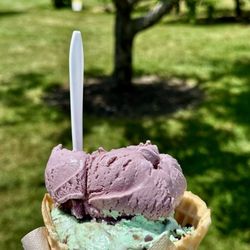 Rich Farm Ice Cream