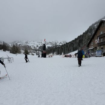 Alta Ski Area - Wildcat Base looking up from the Gold Miner's Daughter lodge. - Ski Resorts Near Me - Alta, Utah