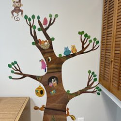 North Miami Pediatrics