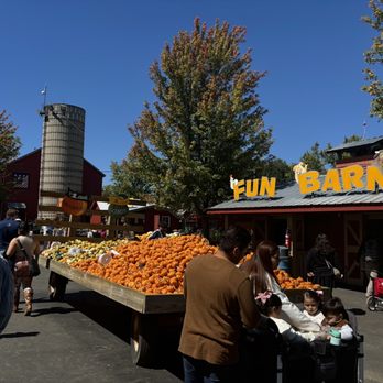Bengtson's Pumpkin Fest - Festivals Near Me - Homer Glen, Illinois